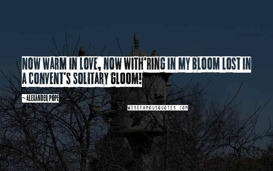 Alexander Pope Quotes: Now warm in love, now with'ring in my bloom Lost in a convent's solitary gloom!