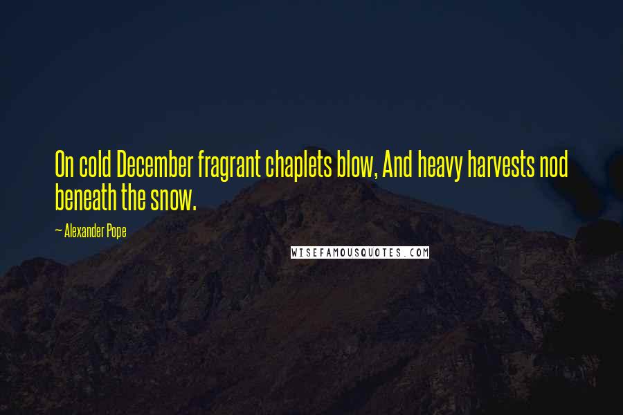 Alexander Pope Quotes: On cold December fragrant chaplets blow, And heavy harvests nod beneath the snow.