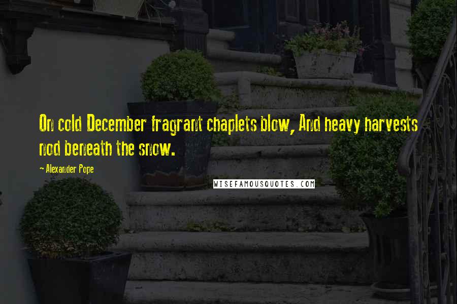 Alexander Pope Quotes: On cold December fragrant chaplets blow, And heavy harvests nod beneath the snow.
