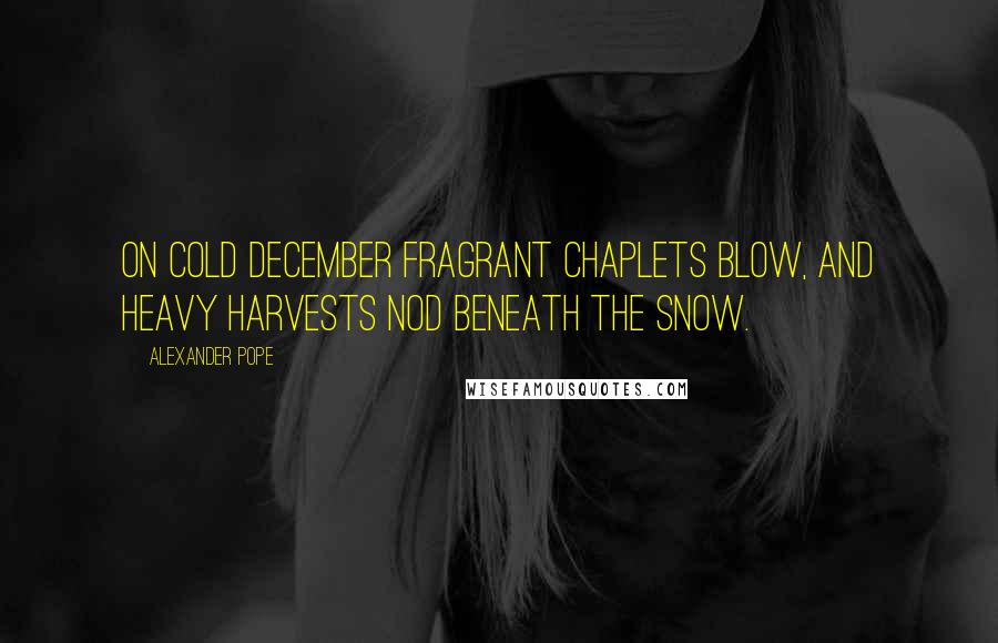 Alexander Pope Quotes: On cold December fragrant chaplets blow, And heavy harvests nod beneath the snow.