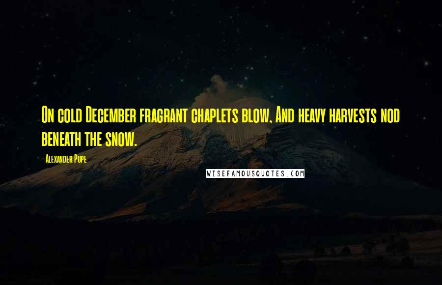 Alexander Pope Quotes: On cold December fragrant chaplets blow, And heavy harvests nod beneath the snow.