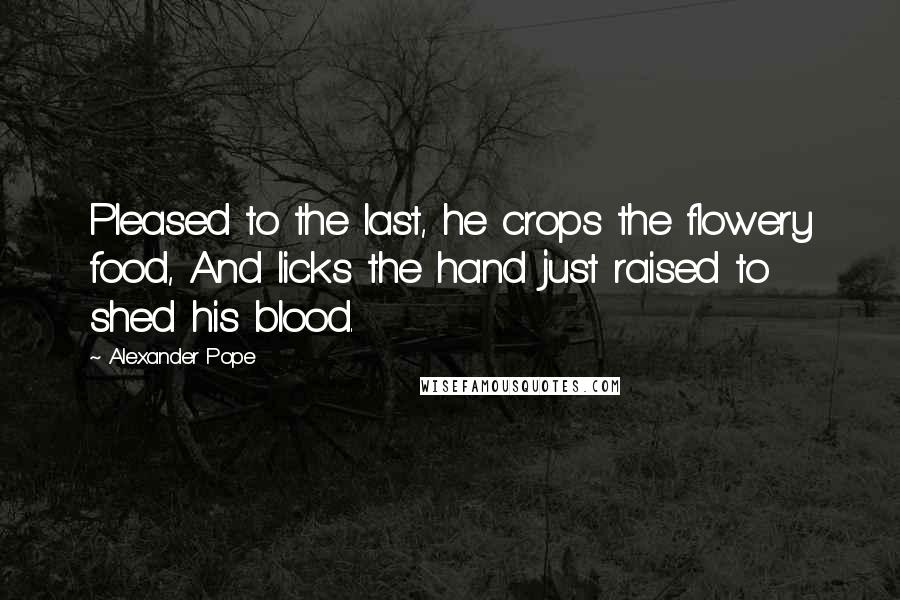 Alexander Pope Quotes: Pleased to the last, he crops the flowery food, And licks the hand just raised to shed his blood.