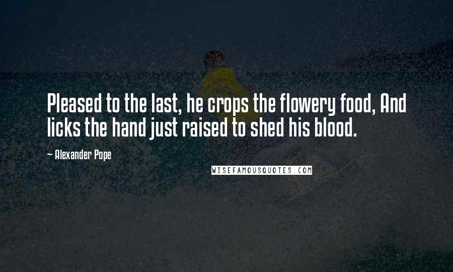 Alexander Pope Quotes: Pleased to the last, he crops the flowery food, And licks the hand just raised to shed his blood.