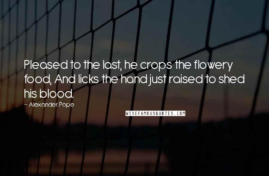 Alexander Pope Quotes: Pleased to the last, he crops the flowery food, And licks the hand just raised to shed his blood.