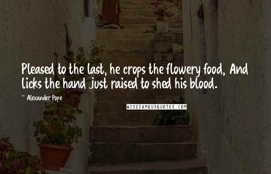 Alexander Pope Quotes: Pleased to the last, he crops the flowery food, And licks the hand just raised to shed his blood.