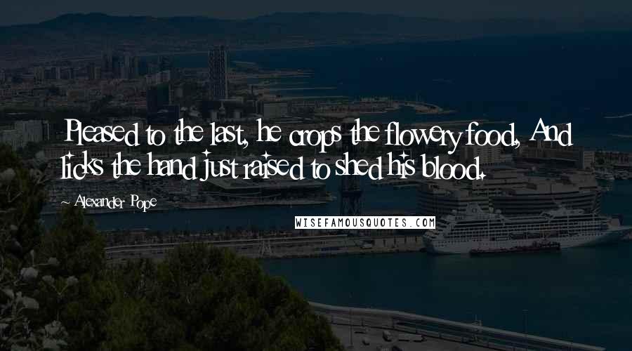 Alexander Pope Quotes: Pleased to the last, he crops the flowery food, And licks the hand just raised to shed his blood.