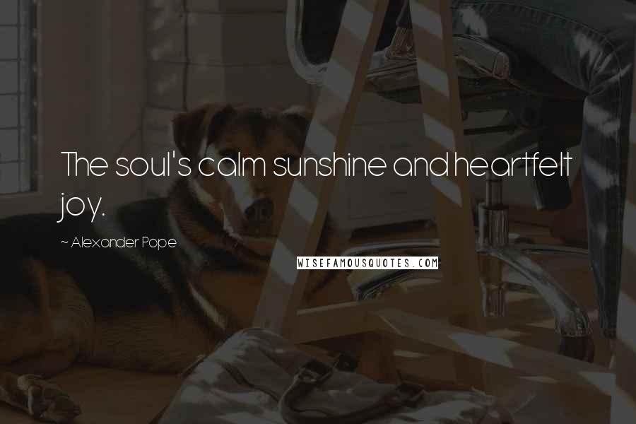 Alexander Pope Quotes: The soul's calm sunshine and heartfelt joy.