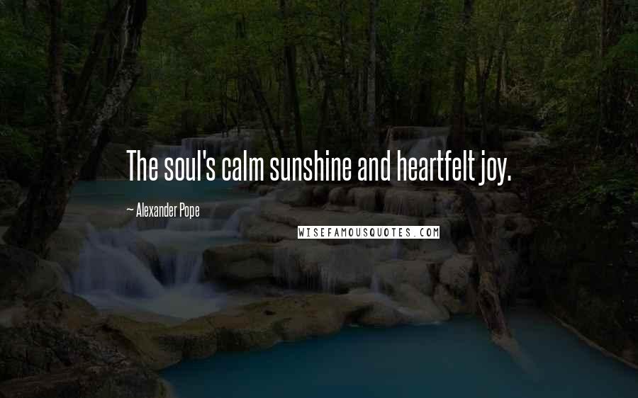 Alexander Pope Quotes: The soul's calm sunshine and heartfelt joy.