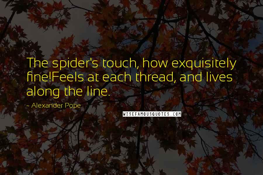 Alexander Pope Quotes: The spider's touch, how exquisitely fine!Feels at each thread, and lives along the line.