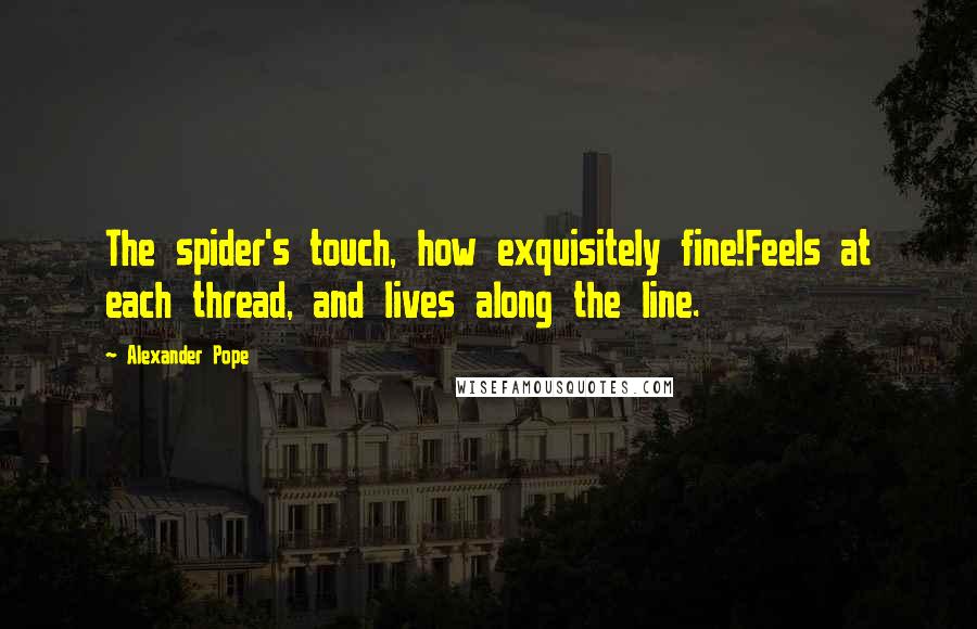 Alexander Pope Quotes: The spider's touch, how exquisitely fine!Feels at each thread, and lives along the line.
