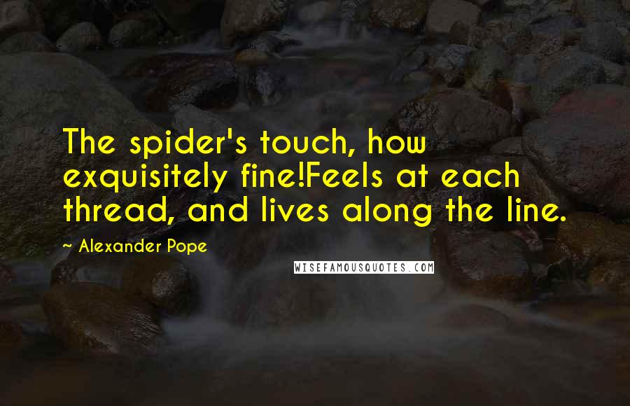 Alexander Pope Quotes: The spider's touch, how exquisitely fine!Feels at each thread, and lives along the line.