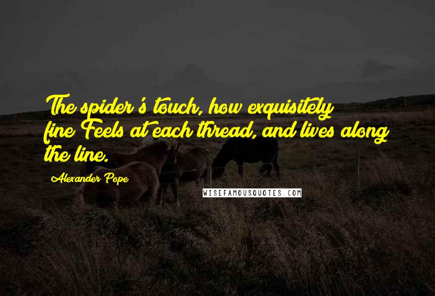 Alexander Pope Quotes: The spider's touch, how exquisitely fine!Feels at each thread, and lives along the line.