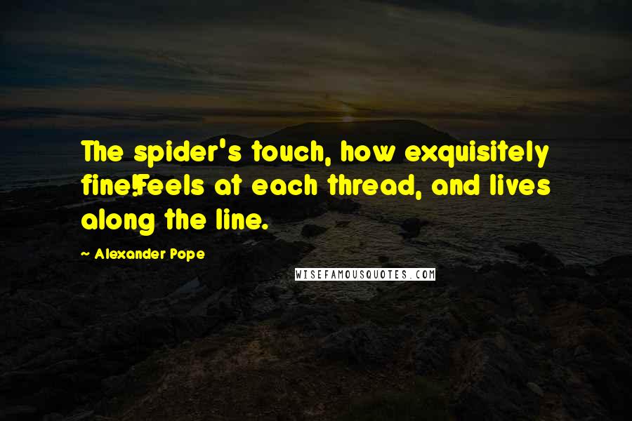 Alexander Pope Quotes: The spider's touch, how exquisitely fine!Feels at each thread, and lives along the line.