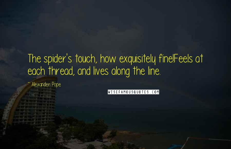 Alexander Pope Quotes: The spider's touch, how exquisitely fine!Feels at each thread, and lives along the line.