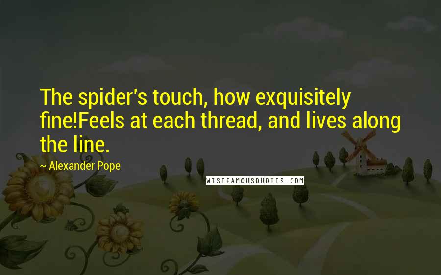 Alexander Pope Quotes: The spider's touch, how exquisitely fine!Feels at each thread, and lives along the line.