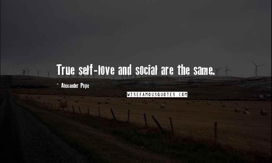 Alexander Pope Quotes: True self-love and social are the same.