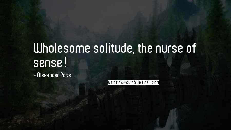 Alexander Pope Quotes: Wholesome solitude, the nurse of sense!