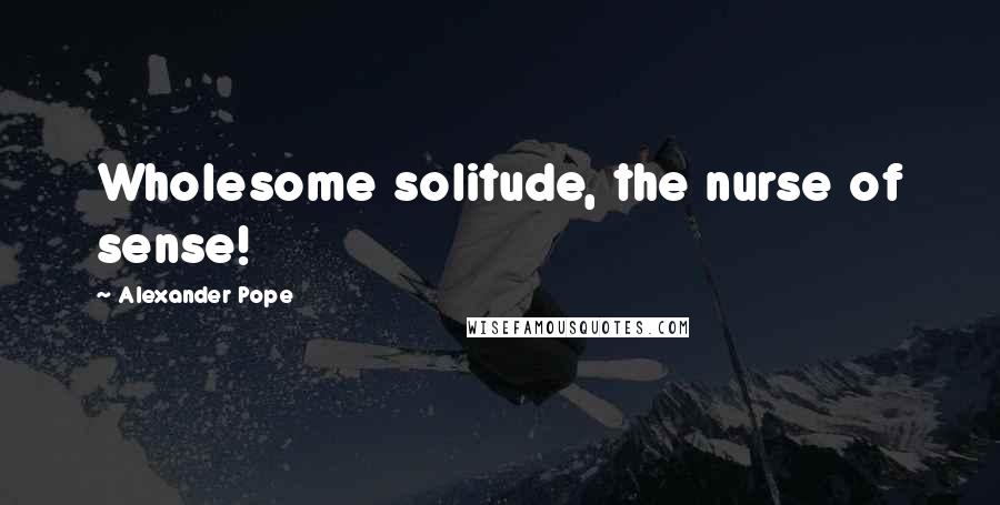 Alexander Pope Quotes: Wholesome solitude, the nurse of sense!