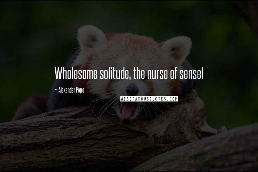 Alexander Pope Quotes: Wholesome solitude, the nurse of sense!