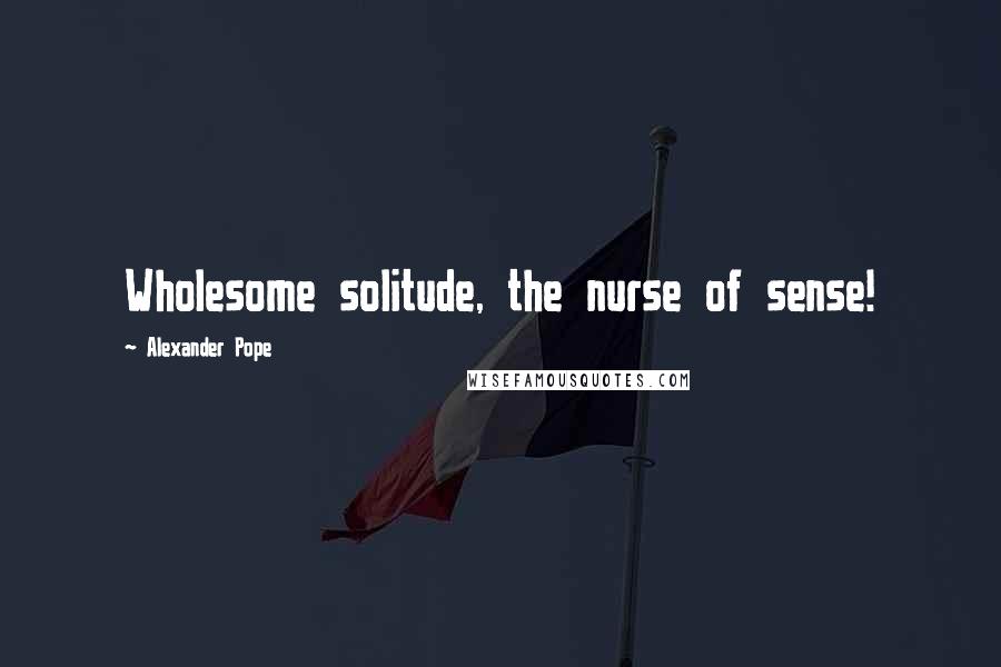 Alexander Pope Quotes: Wholesome solitude, the nurse of sense!