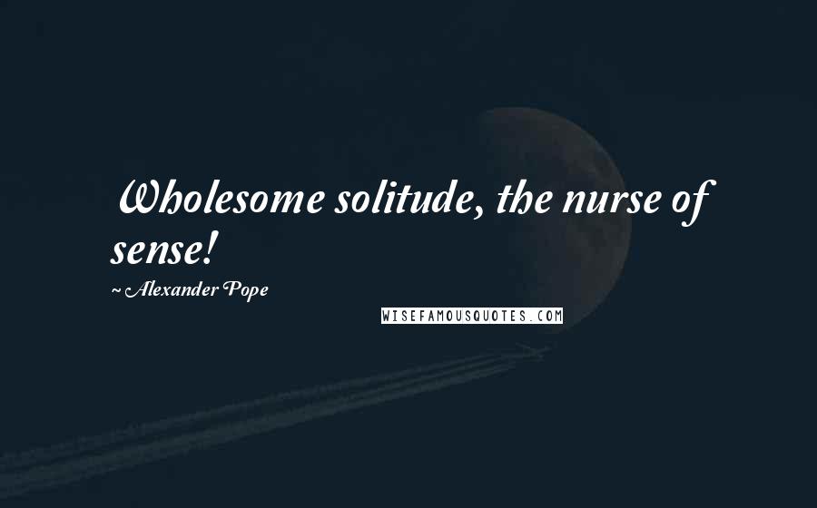 Alexander Pope Quotes: Wholesome solitude, the nurse of sense!
