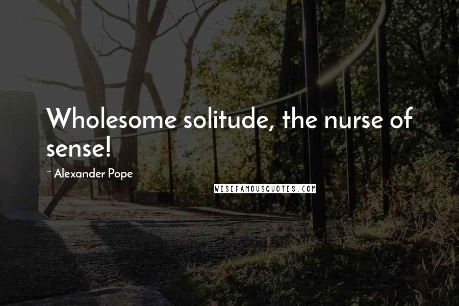 Alexander Pope Quotes: Wholesome solitude, the nurse of sense!