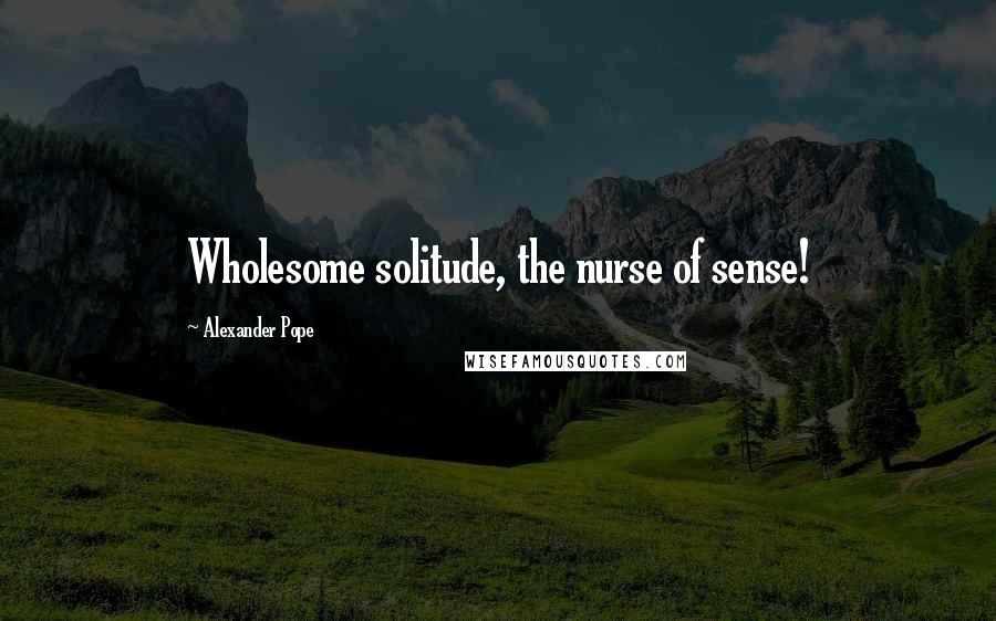 Alexander Pope Quotes: Wholesome solitude, the nurse of sense!