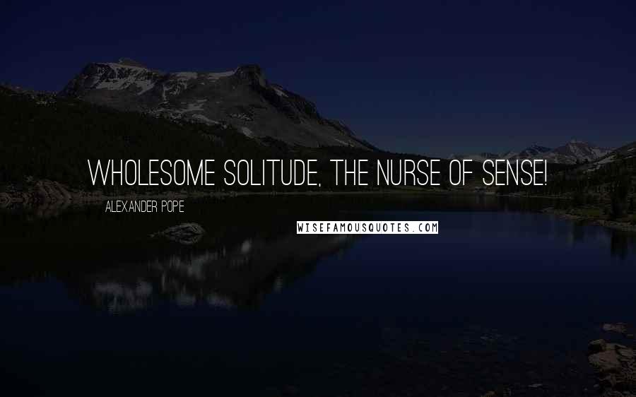 Alexander Pope Quotes: Wholesome solitude, the nurse of sense!