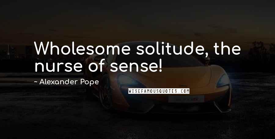 Alexander Pope Quotes: Wholesome solitude, the nurse of sense!