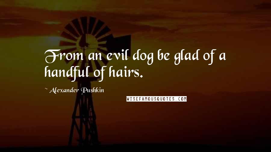 Alexander Pushkin Quotes: From an evil dog be glad of a handful of hairs.