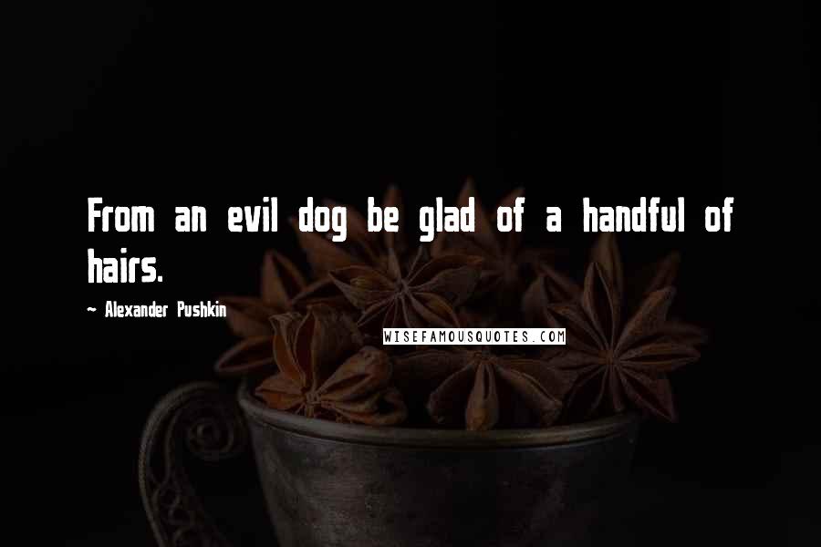 Alexander Pushkin Quotes: From an evil dog be glad of a handful of hairs.