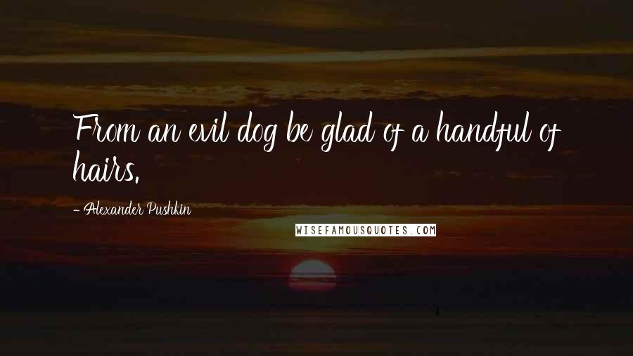 Alexander Pushkin Quotes: From an evil dog be glad of a handful of hairs.