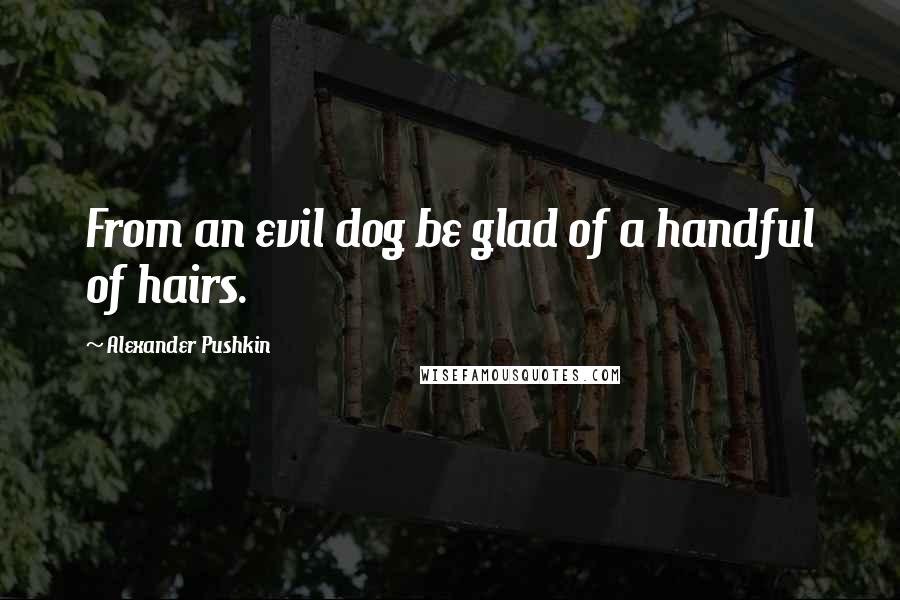 Alexander Pushkin Quotes: From an evil dog be glad of a handful of hairs.