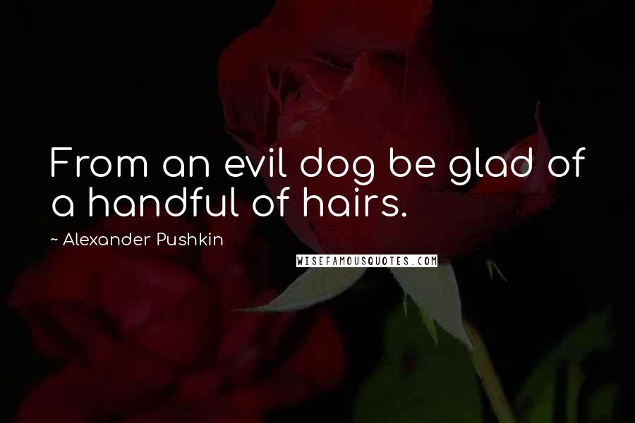 Alexander Pushkin Quotes: From an evil dog be glad of a handful of hairs.