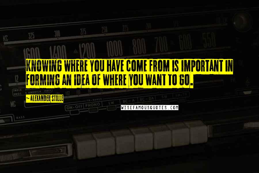 Alexander Stille Quotes: Knowing where you have come from is important in forming an idea of where you want to go.