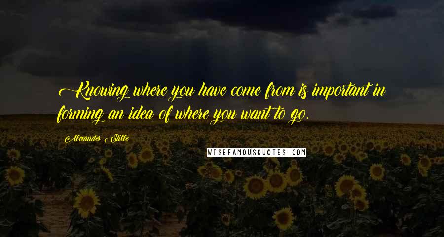 Alexander Stille Quotes: Knowing where you have come from is important in forming an idea of where you want to go.