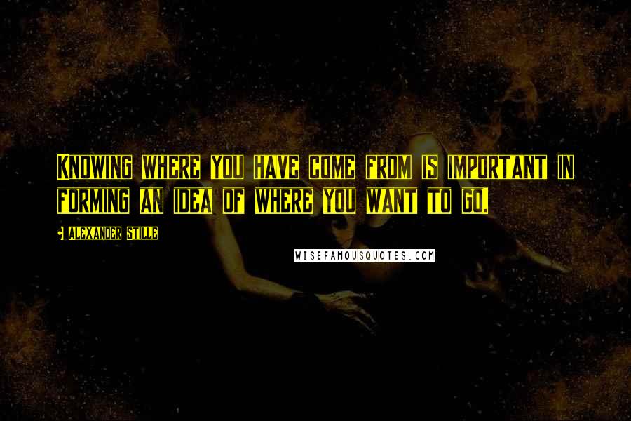 Alexander Stille Quotes: Knowing where you have come from is important in forming an idea of where you want to go.