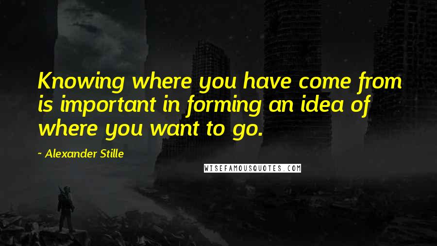 Alexander Stille Quotes: Knowing where you have come from is important in forming an idea of where you want to go.