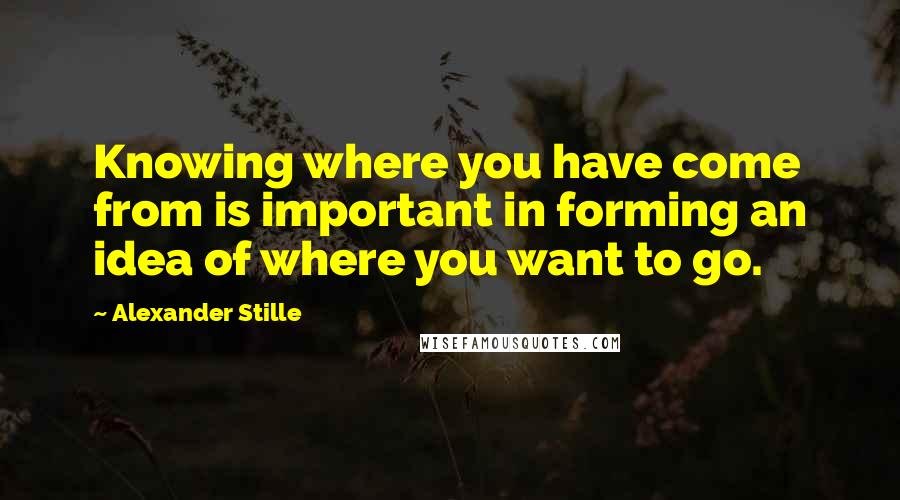 Alexander Stille Quotes: Knowing where you have come from is important in forming an idea of where you want to go.