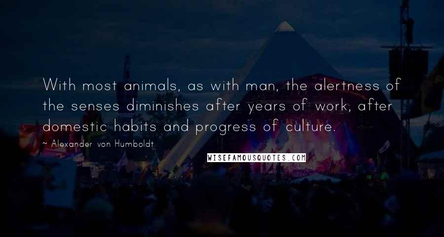 Alexander Von Humboldt Quotes: With most animals, as with man, the alertness of the senses diminishes after years of work, after domestic habits and progress of culture.
