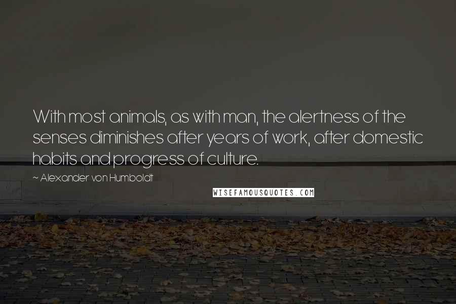 Alexander Von Humboldt Quotes: With most animals, as with man, the alertness of the senses diminishes after years of work, after domestic habits and progress of culture.