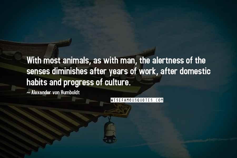 Alexander Von Humboldt Quotes: With most animals, as with man, the alertness of the senses diminishes after years of work, after domestic habits and progress of culture.