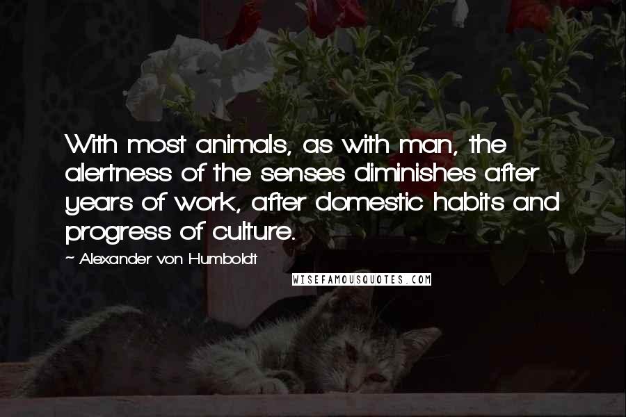 Alexander Von Humboldt Quotes: With most animals, as with man, the alertness of the senses diminishes after years of work, after domestic habits and progress of culture.