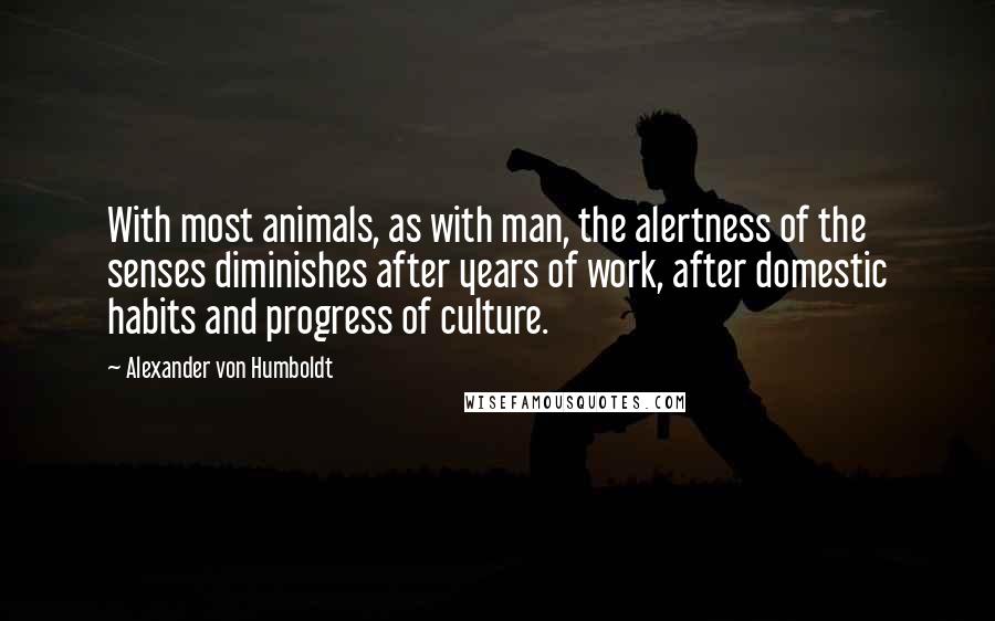 Alexander Von Humboldt Quotes: With most animals, as with man, the alertness of the senses diminishes after years of work, after domestic habits and progress of culture.