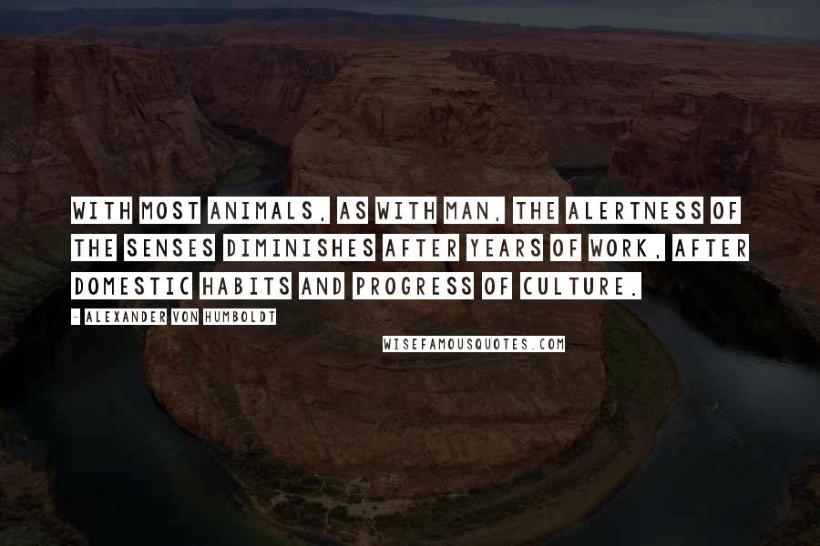 Alexander Von Humboldt Quotes: With most animals, as with man, the alertness of the senses diminishes after years of work, after domestic habits and progress of culture.