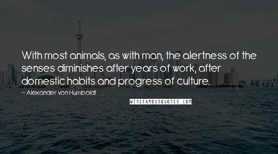 Alexander Von Humboldt Quotes: With most animals, as with man, the alertness of the senses diminishes after years of work, after domestic habits and progress of culture.