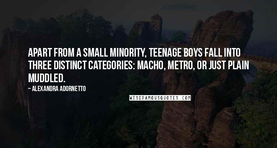 Alexandra Adornetto Quotes: Apart from a small minority, teenage boys fall into three distinct categories: macho, metro, or just plain muddled.