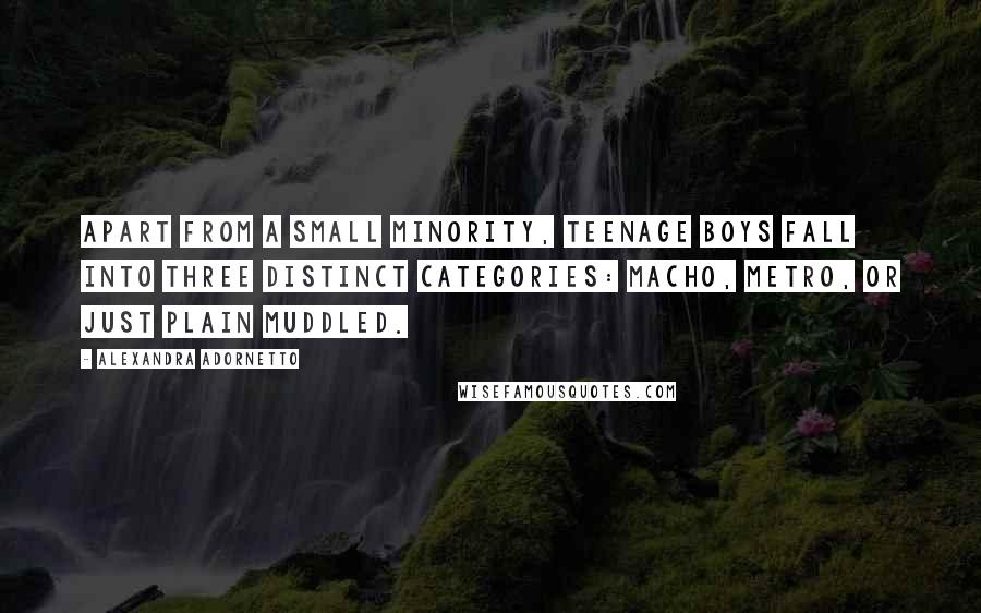 Alexandra Adornetto Quotes: Apart from a small minority, teenage boys fall into three distinct categories: macho, metro, or just plain muddled.