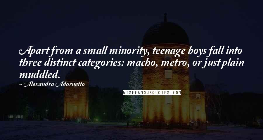 Alexandra Adornetto Quotes: Apart from a small minority, teenage boys fall into three distinct categories: macho, metro, or just plain muddled.