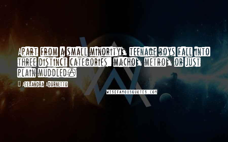 Alexandra Adornetto Quotes: Apart from a small minority, teenage boys fall into three distinct categories: macho, metro, or just plain muddled.